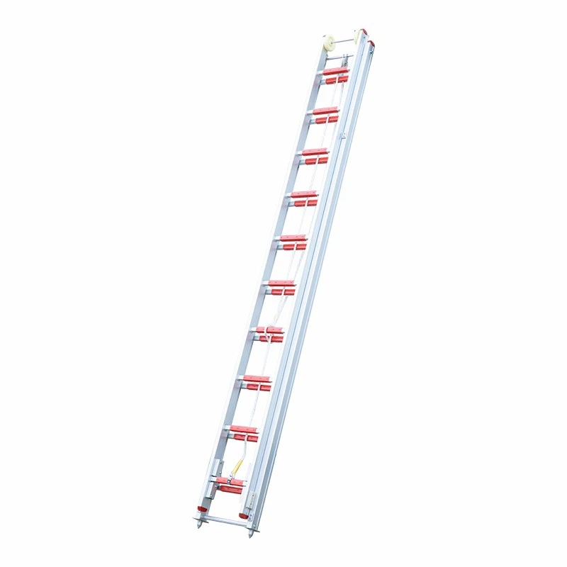 6m Double Extension Ladder suppliers